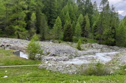 IMG_5940.jpeg