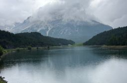 IMG_3484.jpeg